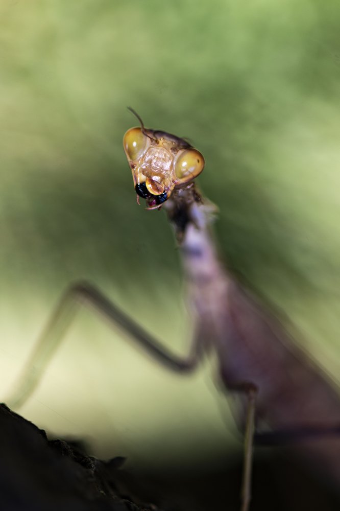Photograph by Валерий Лейко