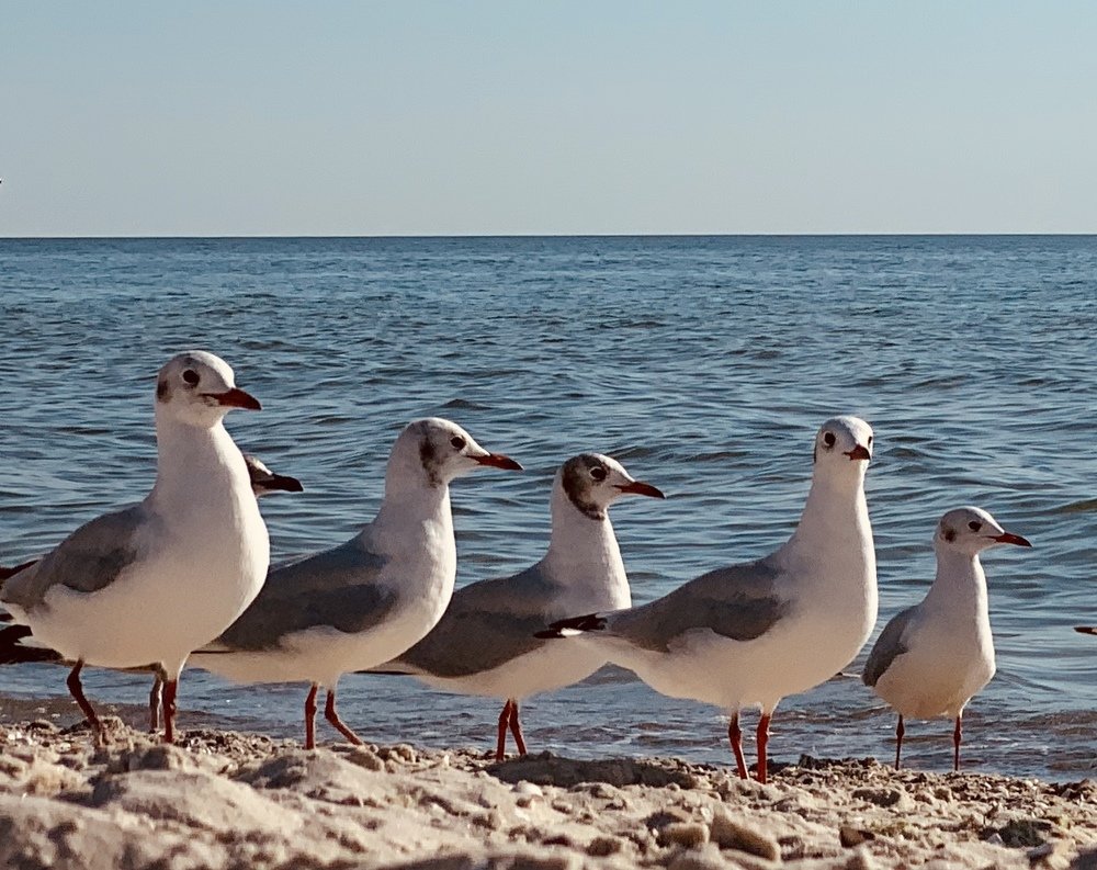 Photograph by Анна Адаменко