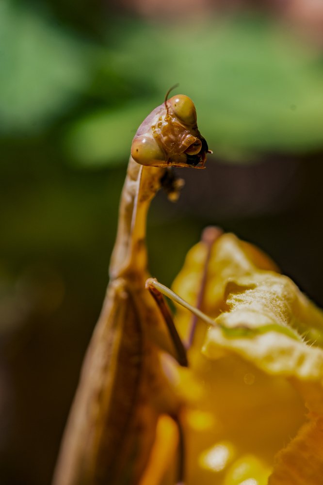 Photograph by Валерий Лейко
