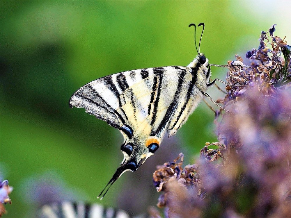 Photograph by Юрий Кармановский