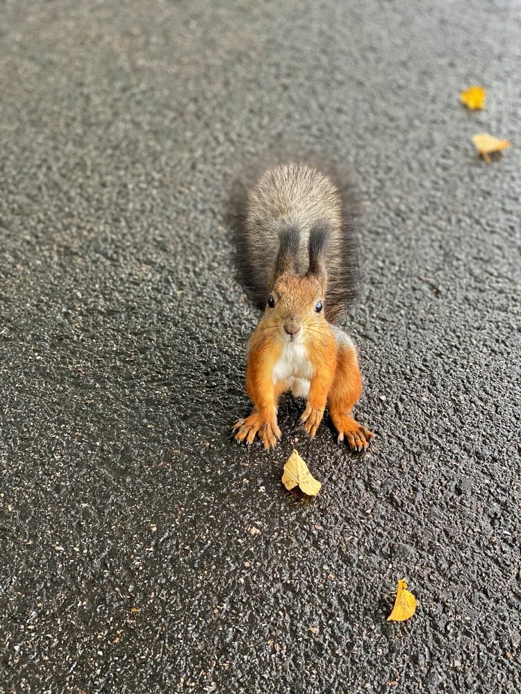 Глаза в глаза