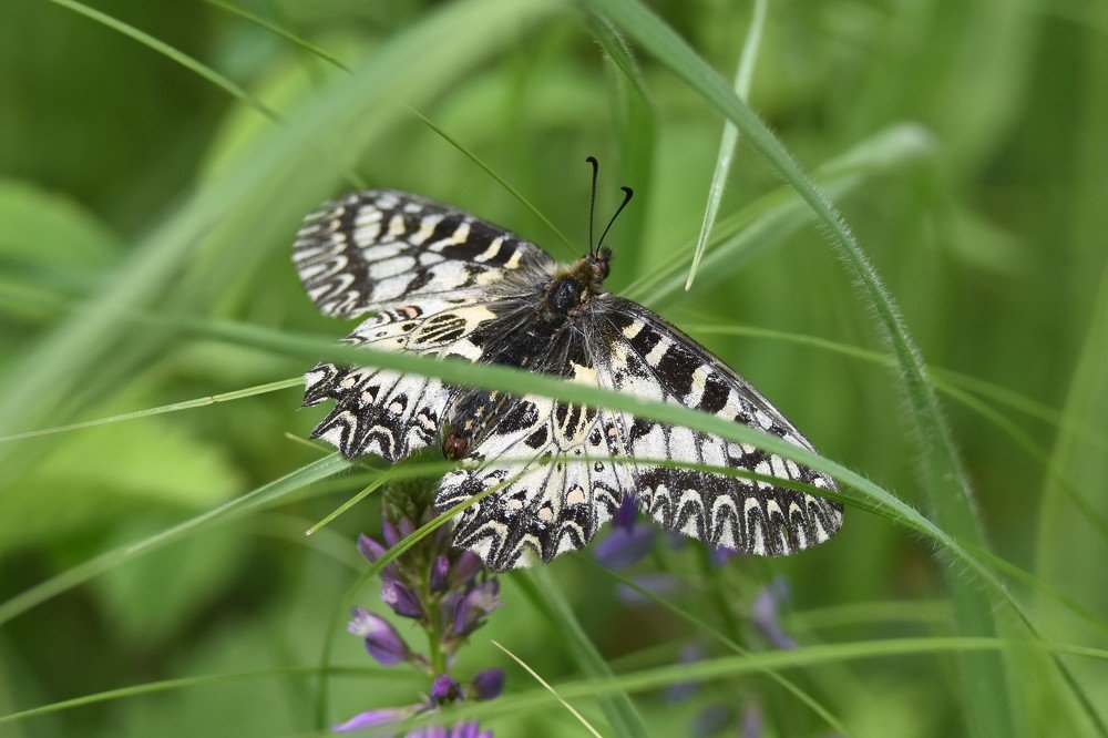 Время отдыха...