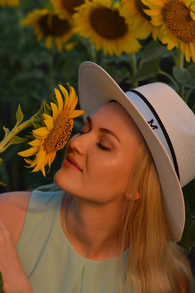 В подсолнухах