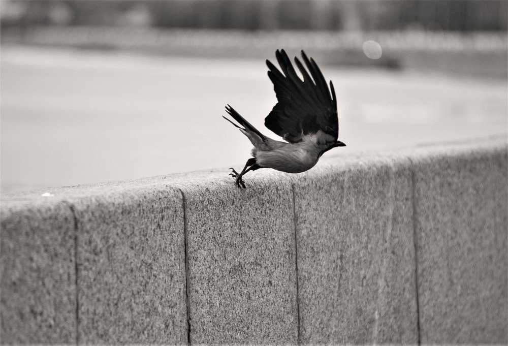 Photograph by Татьяна