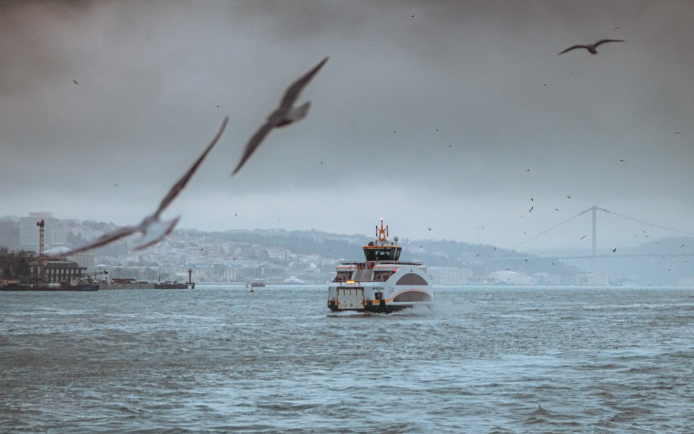 Photograph by Юлия Долгина