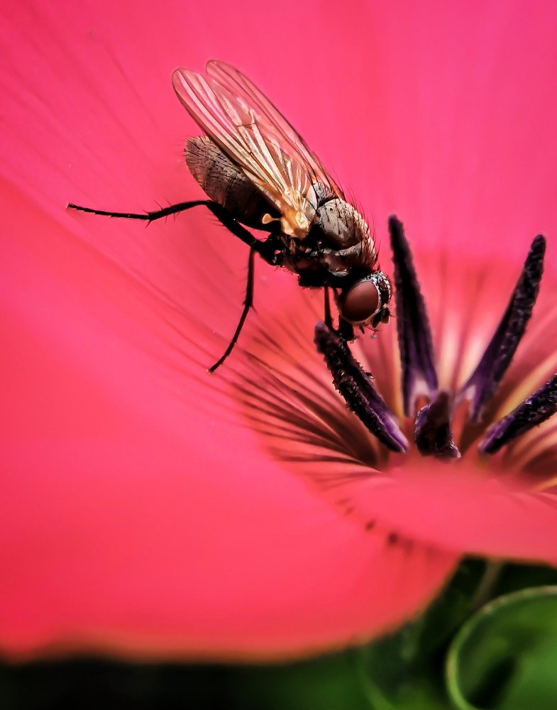 Photograph by Елена Савина