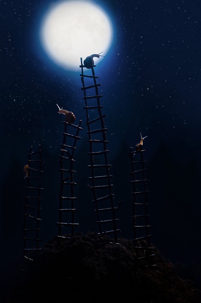 Photograph by Наталья Голубева