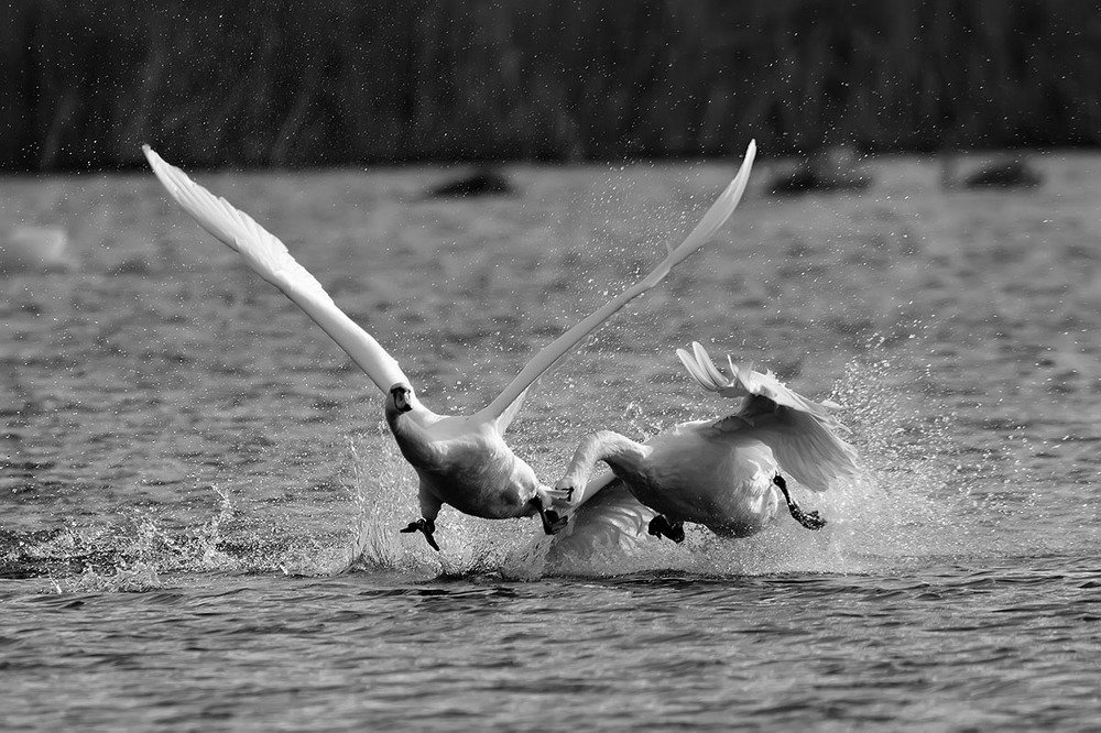 Photograph by Вячеслав Ладанов