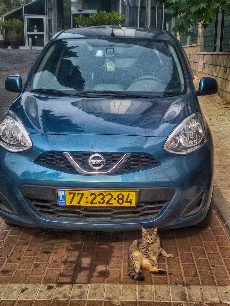 Photograph by Яков