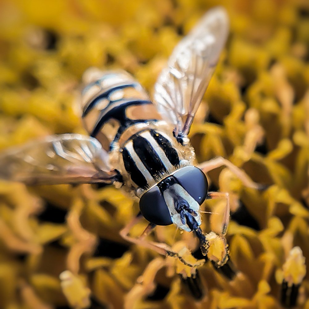 Photograph by Елена Савина