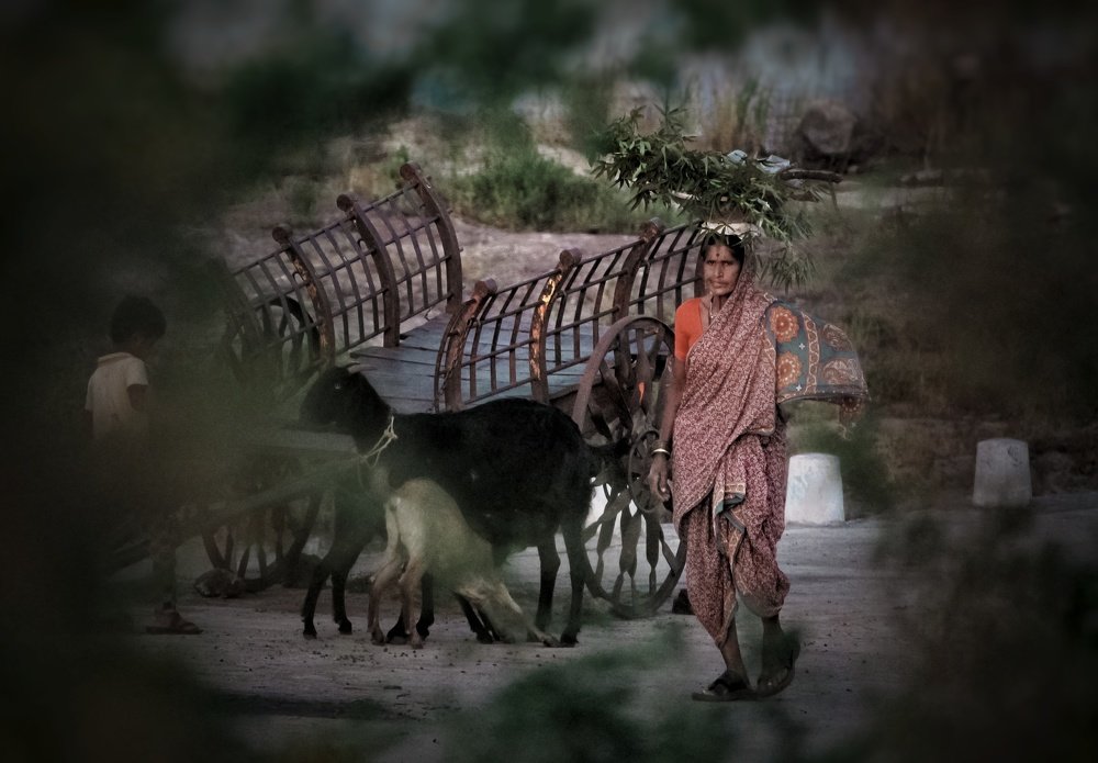 Photograph by Akash Rajurkar