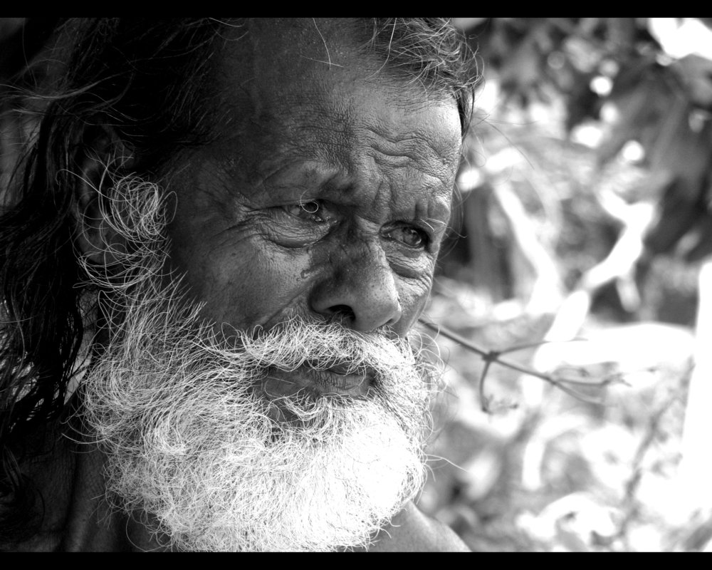 Photo #5089244