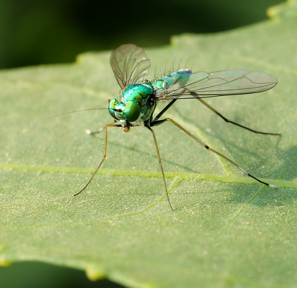 Photograph by Lakshya Sharma