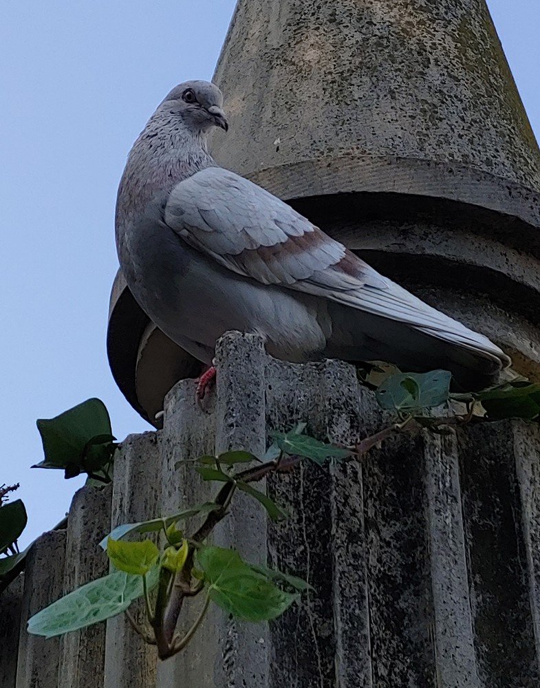 Photograph by analia castro