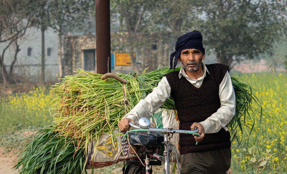 Photograph by Saifi Zubair