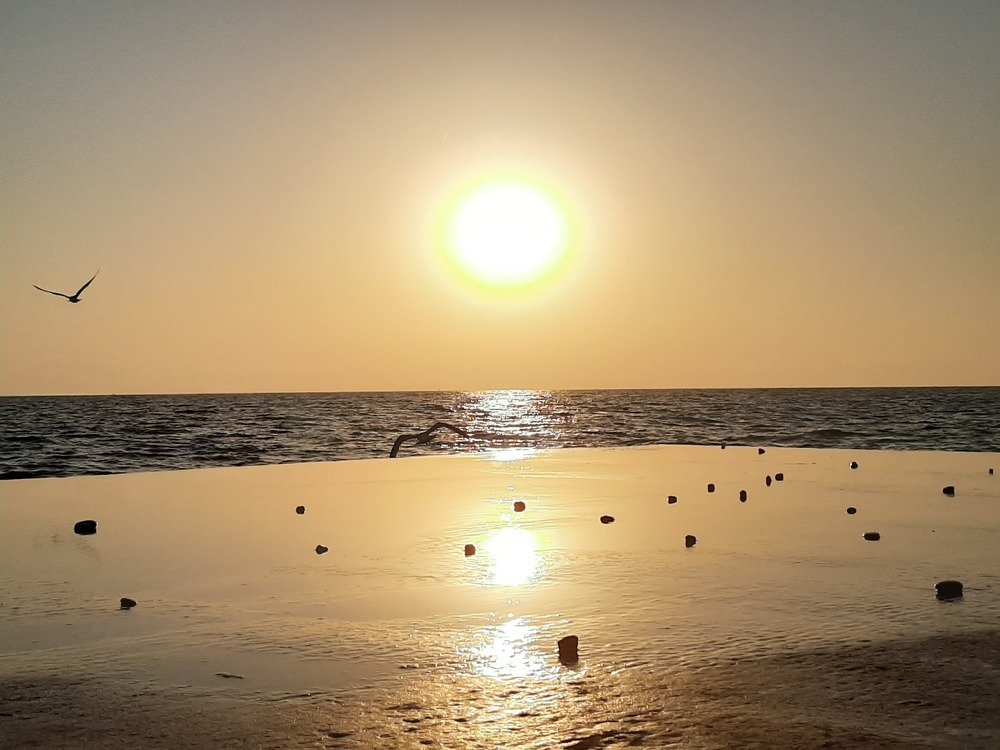 Photograph by Татьяна Каспарян
