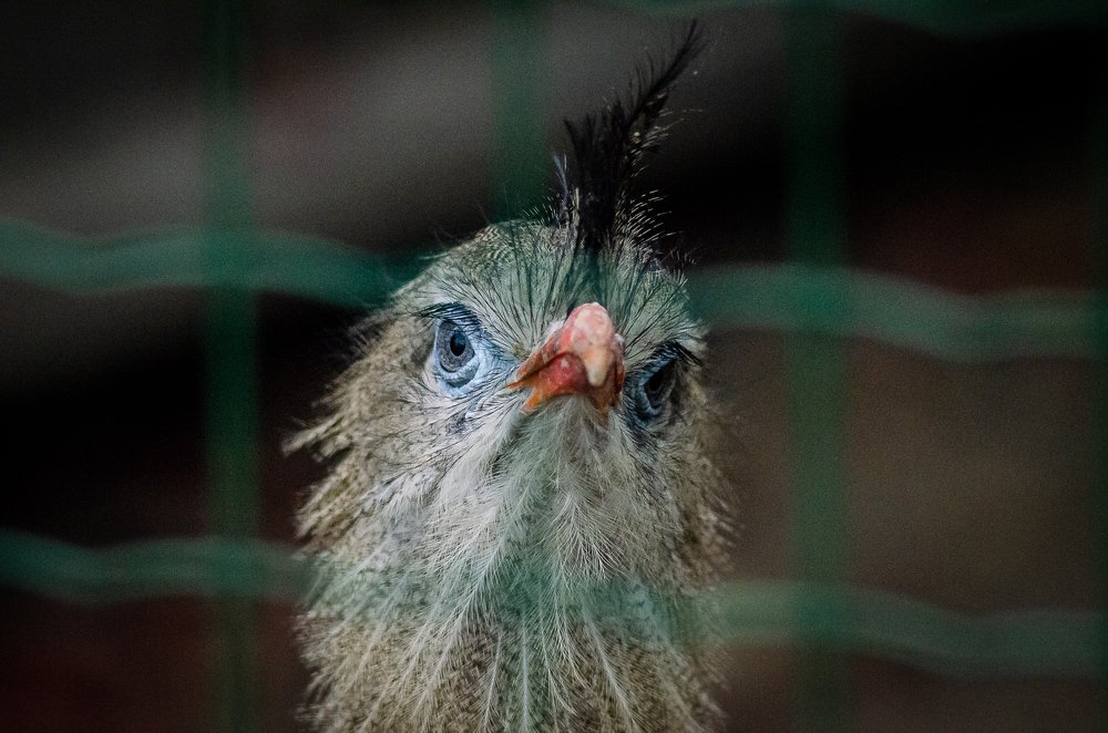 Фотография автора Владимир Брызгунов