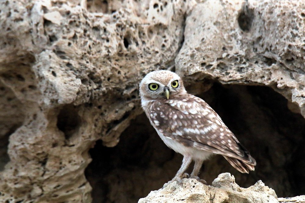 Фотография автора Suresh S S