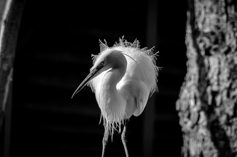 Фотография автора Владимир Брызгунов