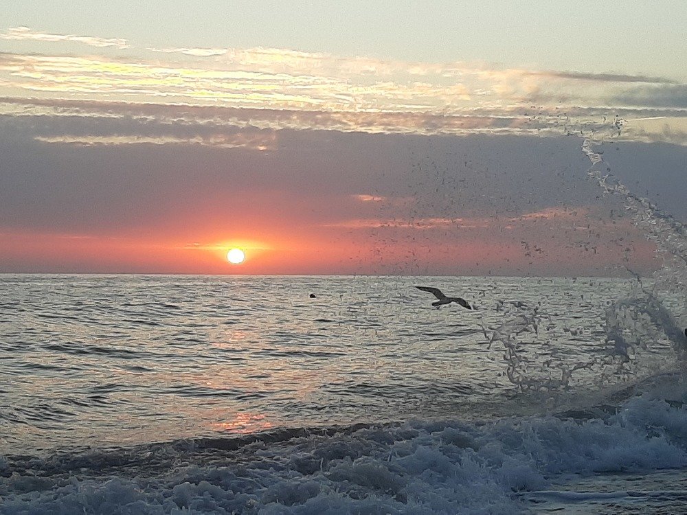 Photograph by Татьяна Каспарян