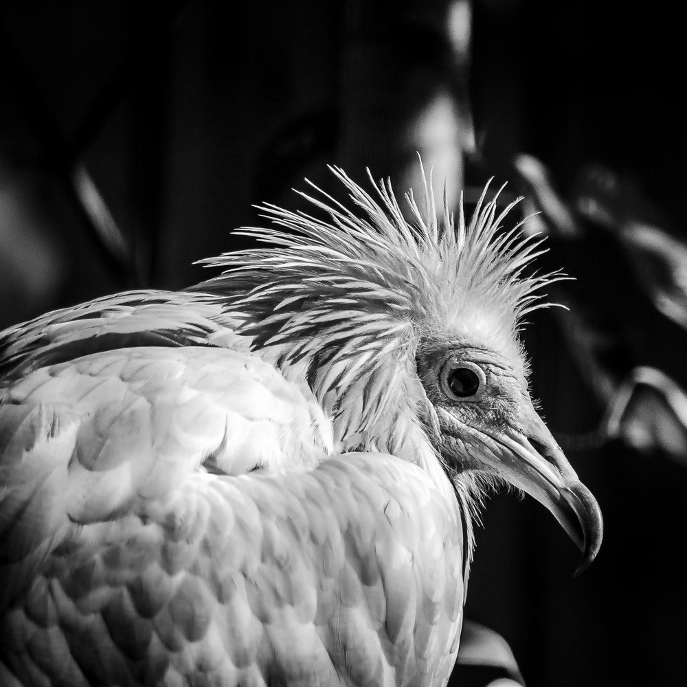 Фотография автора Владимир Брызгунов