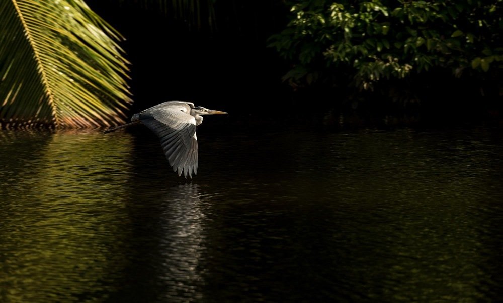 Photograph by Romsha Golos