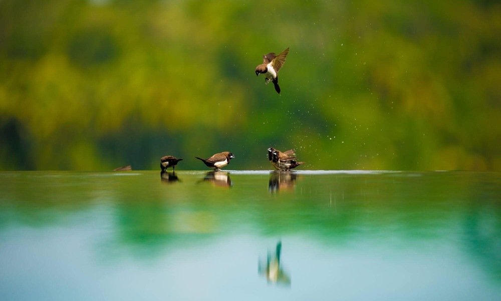 Photograph by Romsha Golos