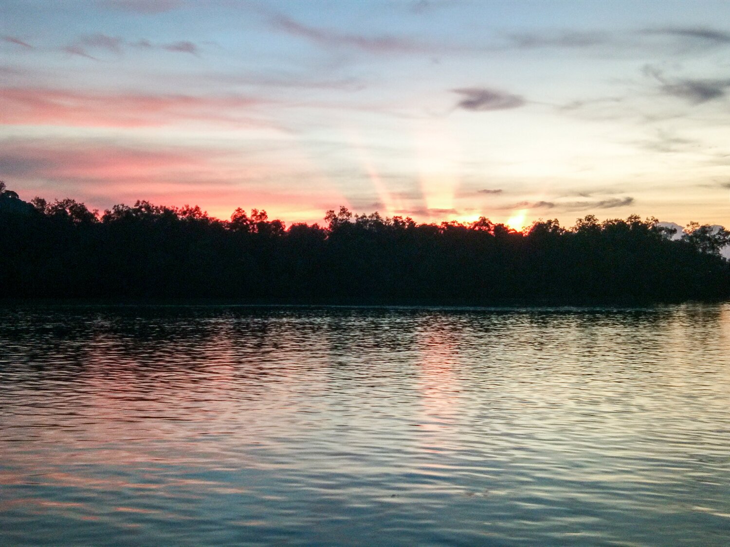 Photo #5089457