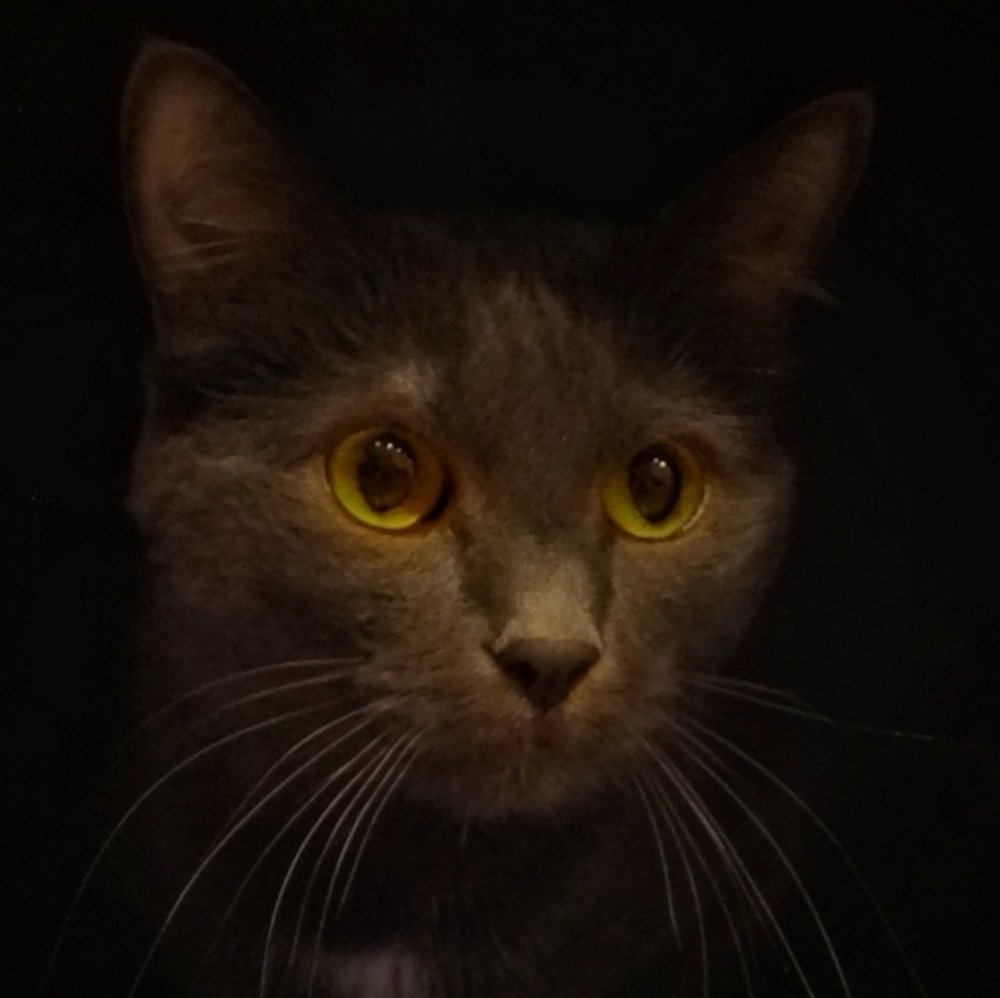 Photograph by Елена Савина