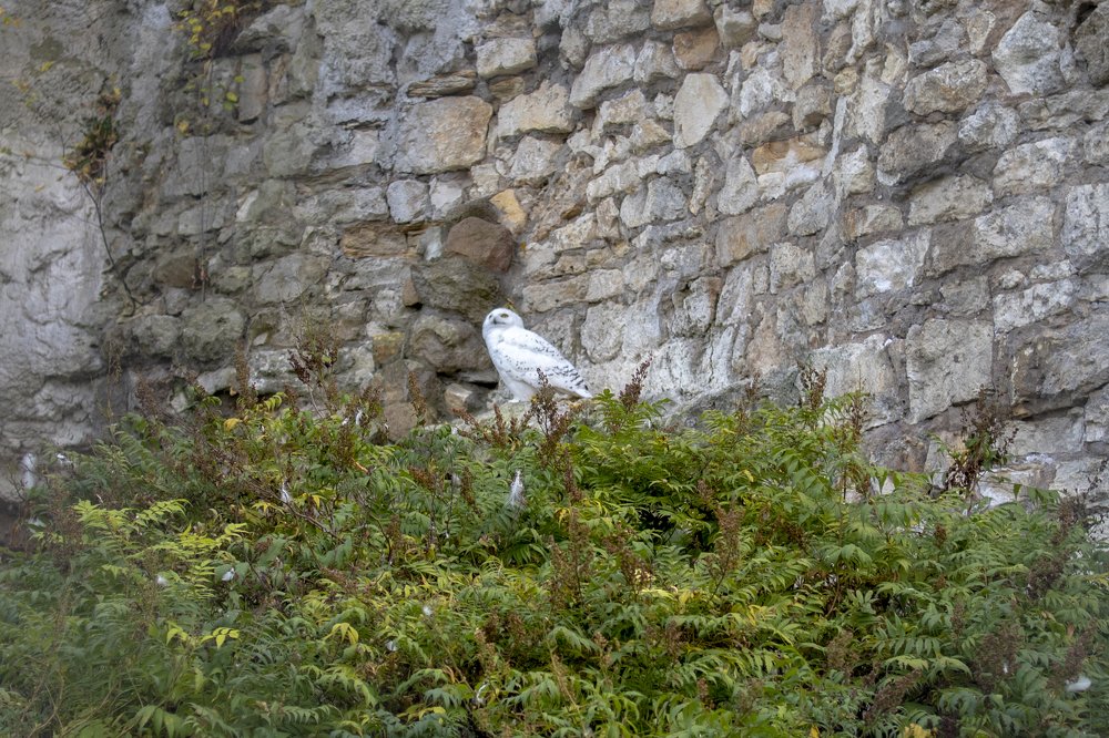 Photograph by Лукашина Елена