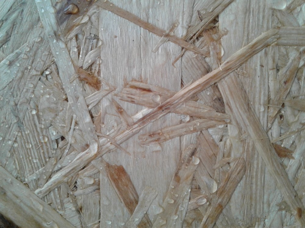 Photo #5089544