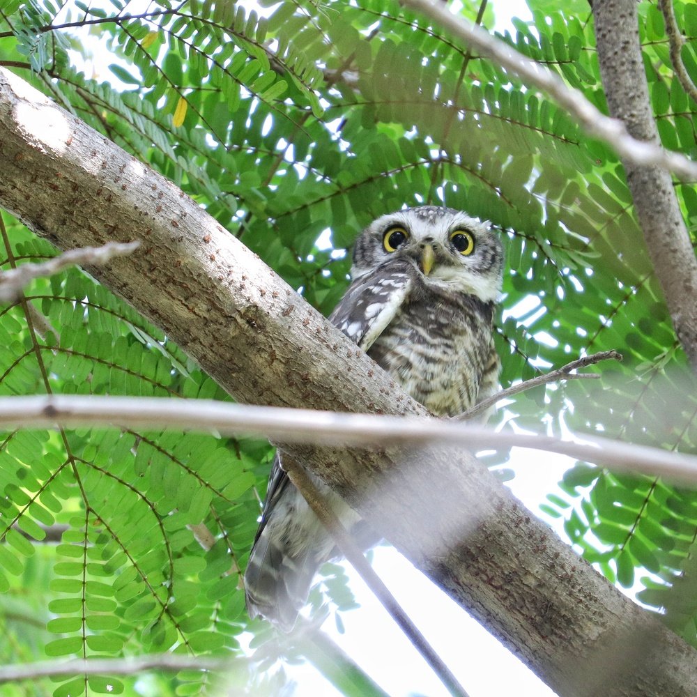 Photograph by Kaustubh Dhananjay Pote