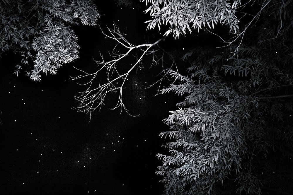 Тихая ночь.