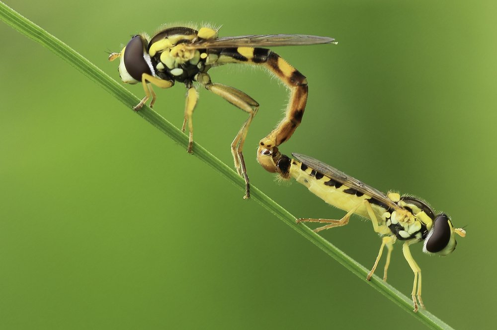 Photograph by Наталья Викарчук