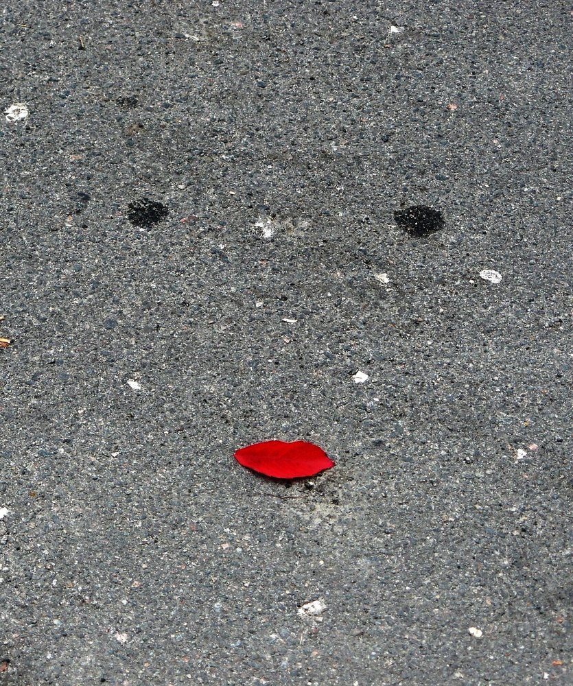 Photograph by леонид натапов