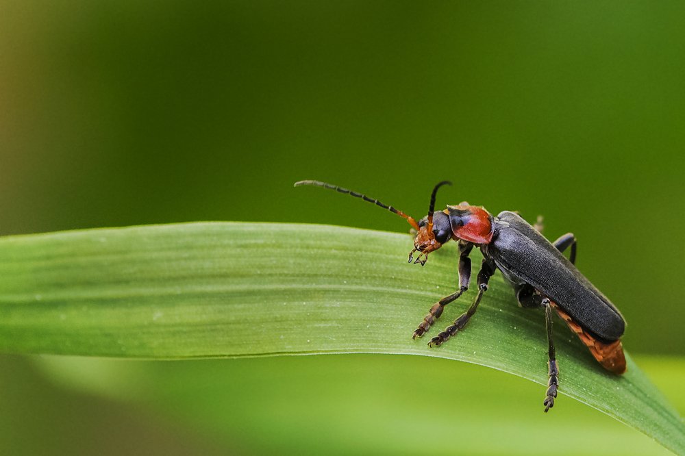 Photograph by Волгина Елена