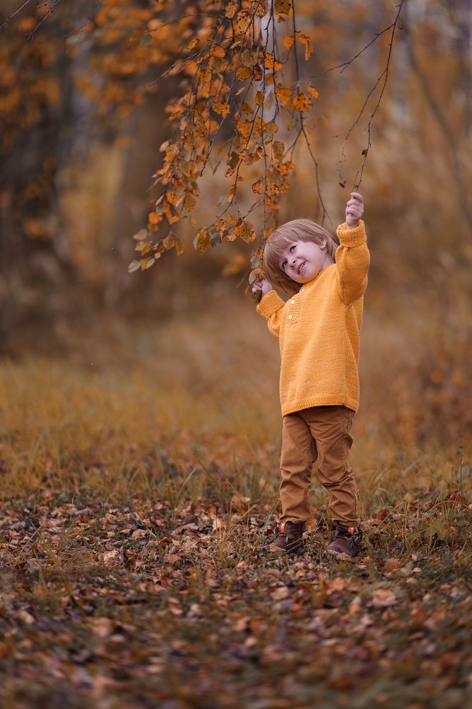 Игра воображения