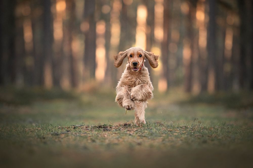 Photograph by Karina Saarestik