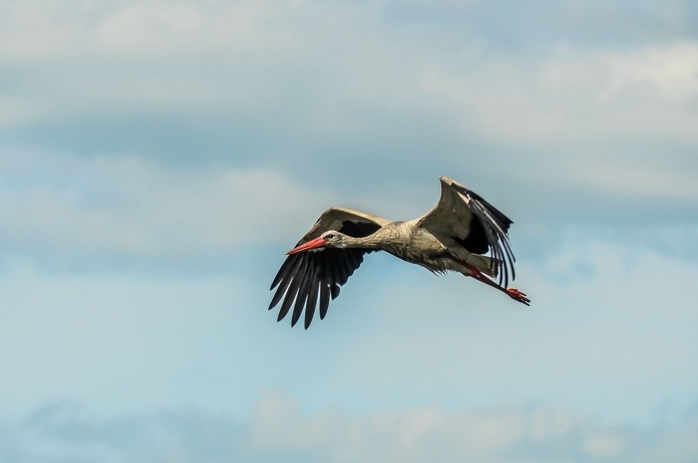 Photograph by Денис Спесивцев