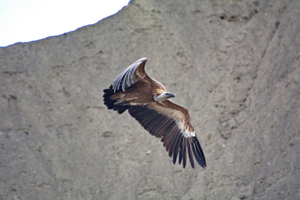 Между небом и землей