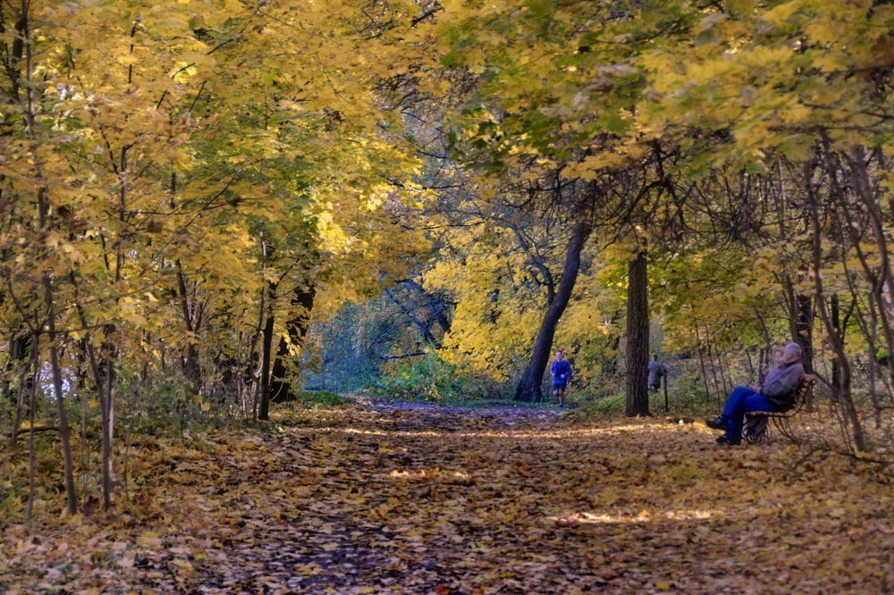 Осенний парк.