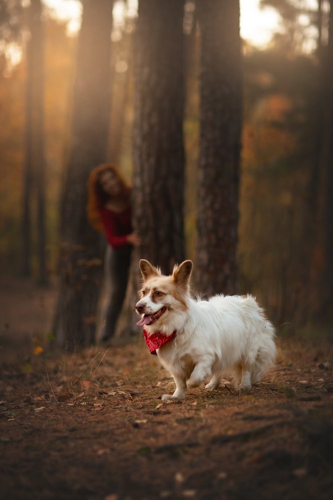 Photograph by Юлия Бусыгина