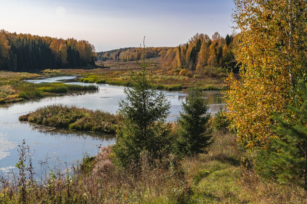 Фотография автора Галина Луценко