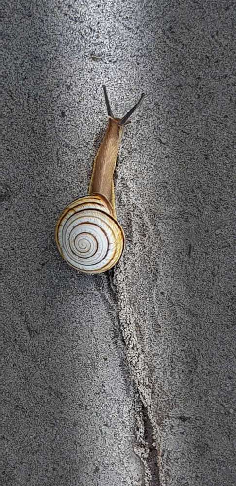 Photograph by Светлана Эленевич