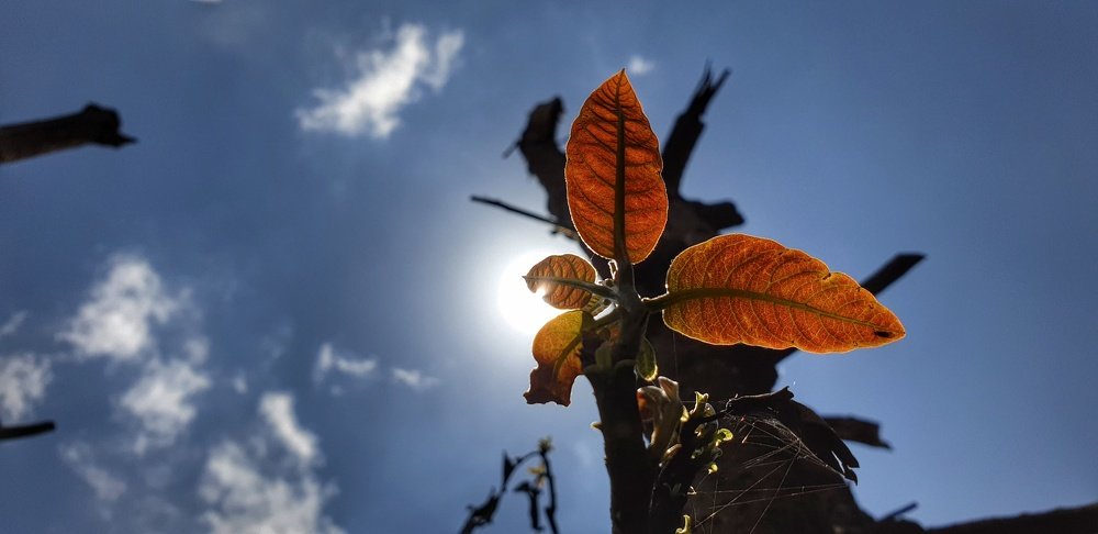 Photograph by Yohannes Ezra