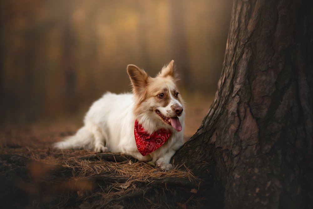 Photograph by Юлия Бусыгина