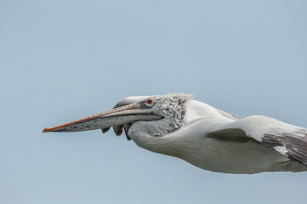 Photograph by Pratik Sagri