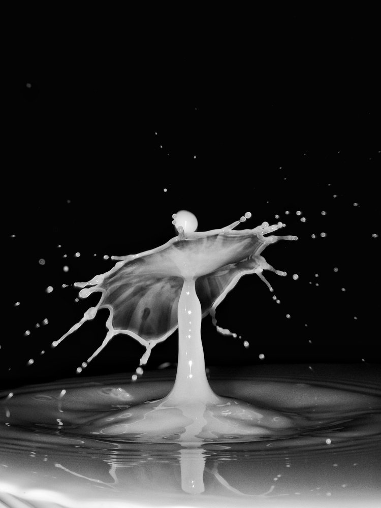 Photograph by Ольга Линк