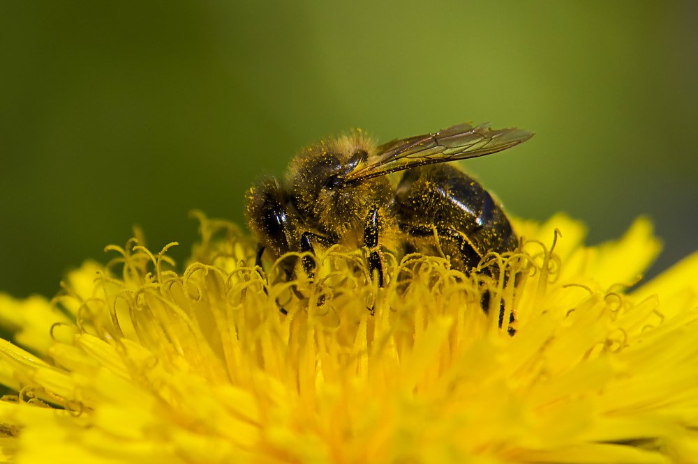 Photograph by Волгина Елена