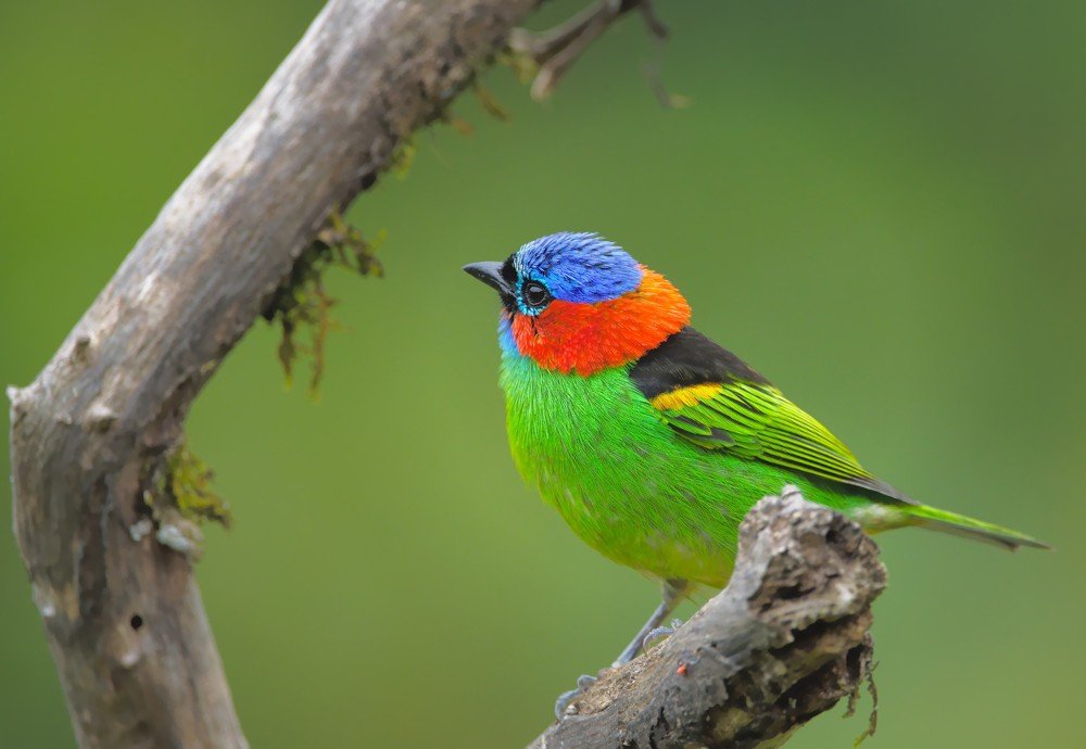 Photograph by Eduardo Bom